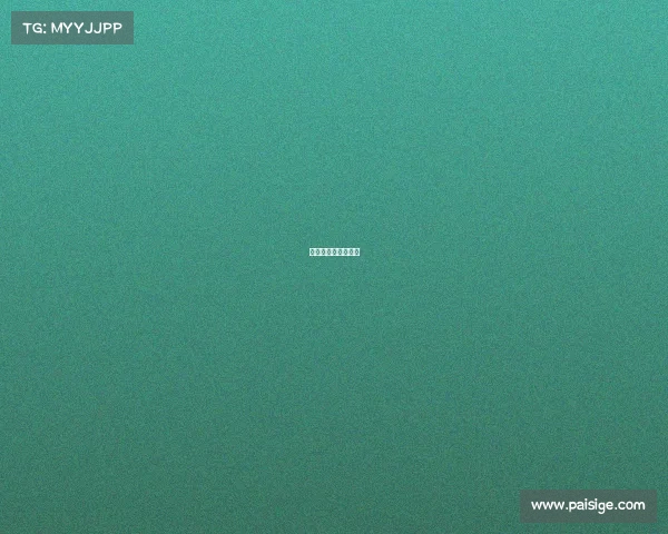 赛事组织要求是什么